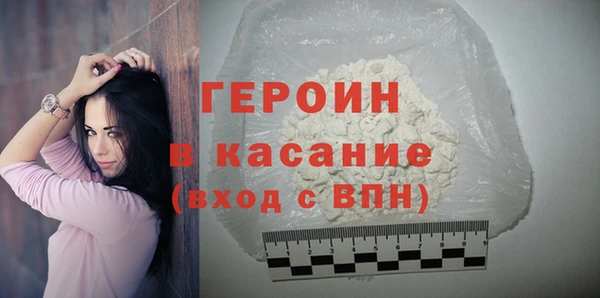 гидра Богородицк