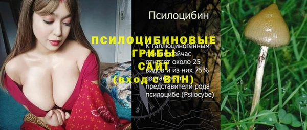 гидра Богородицк