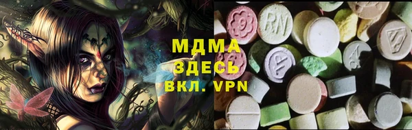 гидра Богородицк
