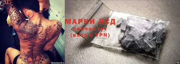 гидра Богородицк