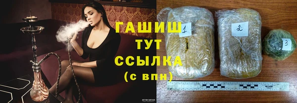 гидра Богородицк