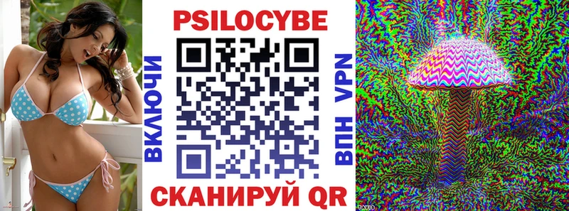 Псилоцибиновые грибы мицелий  купить   Кингисепп 